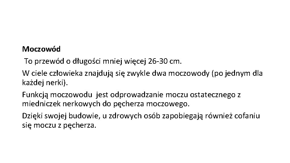 Moczowód To przewód o długości mniej więcej 26 -30 cm. W ciele człowieka znajdują