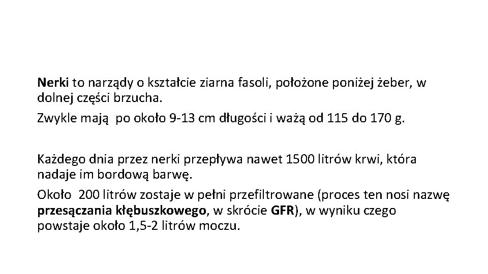 Nerki to narządy o kształcie ziarna fasoli, położone poniżej żeber, w dolnej części brzucha.