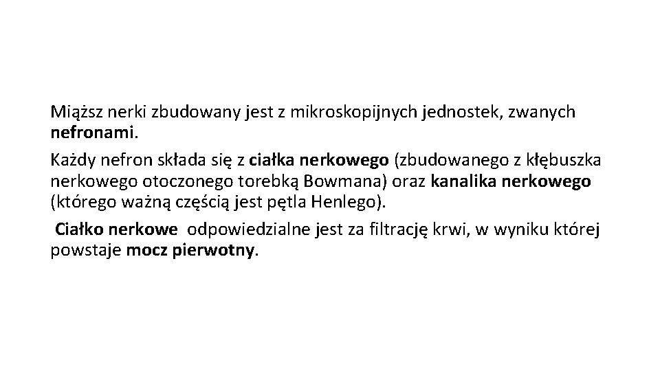 Miąższ nerki zbudowany jest z mikroskopijnych jednostek, zwanych nefronami. Każdy nefron składa się z