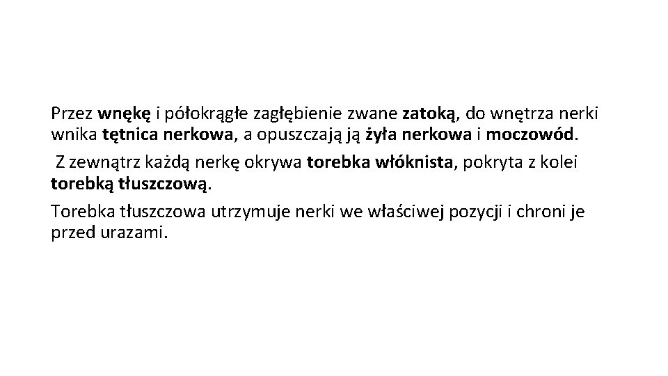 Przez wnękę i półokrągłe zagłębienie zwane zatoką, do wnętrza nerki wnika tętnica nerkowa, a
