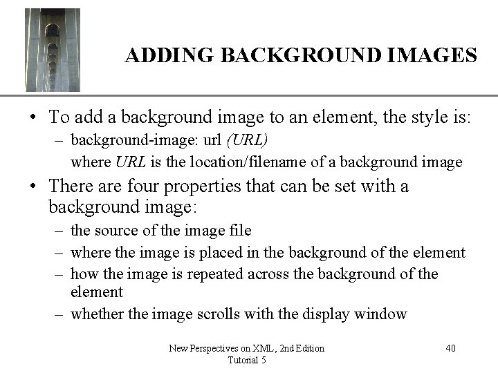 XP ADDING BACKGROUND IMAGES • To add a background image to an element, the