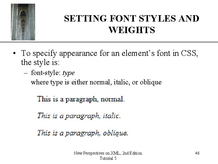 SETTING FONT STYLES ANDXP WEIGHTS • To specify appearance for an element’s font in