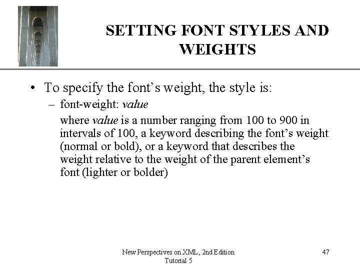 SETTING FONT STYLES ANDXP WEIGHTS • To specify the font’s weight, the style is: