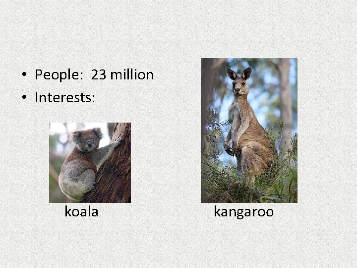  • People: 23 million • Interests: koala kangaroo 