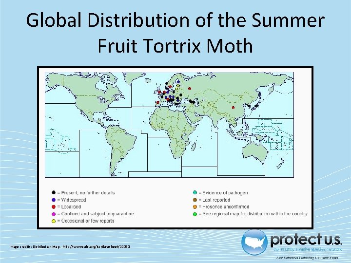 Global Distribution of the Summer Fruit Tortrix Moth Image credits: Distribution Map - http: