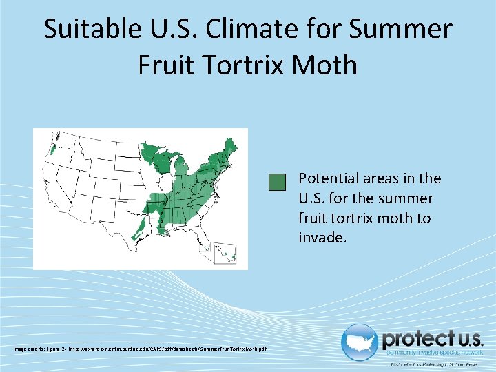 Suitable U. S. Climate for Summer Fruit Tortrix Moth Potential areas in the U.