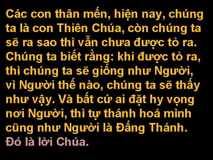 Các con thân mến, hiện nay, chúng ta là con Thiên Chúa, còn chúng