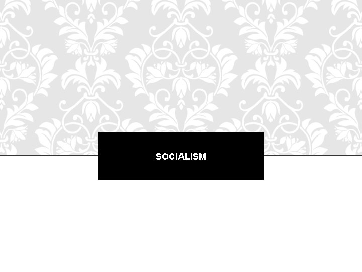 SOCIALISM 