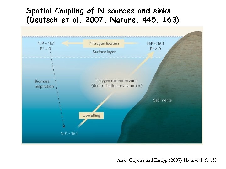 Spatial Coupling of N sources and sinks (Deutsch et al, 2007, Nature, 445, 163)