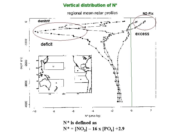 Vertical distribution of N* N 2 -Fix denitrif excess deficit N* is defined as