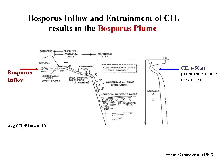 Bosporus Inflow and Entrainment of CIL results in the Bosporus Plume Bosporus Inflow CIL