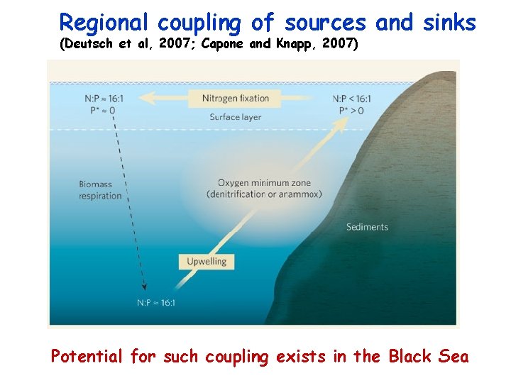 Regional coupling of sources and sinks (Deutsch et al, 2007; Capone and Knapp, 2007)