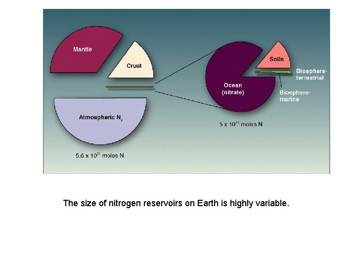 The size of nitrogen reservoirs on Earth is highly variable. 