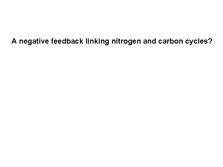 A negative feedback linking nitrogen and carbon cycles? 