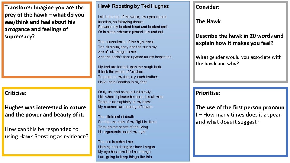 Transform: Imagine you are the prey of the hawk – what do you see/think