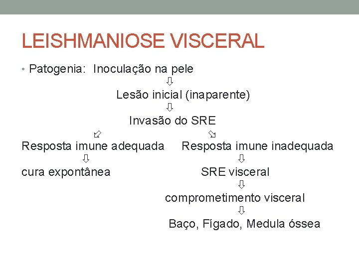 LEISHMANIOSE VISCERAL • Patogenia: Inoculação na pele ò Lesão inicial (inaparente) ò Invasão do