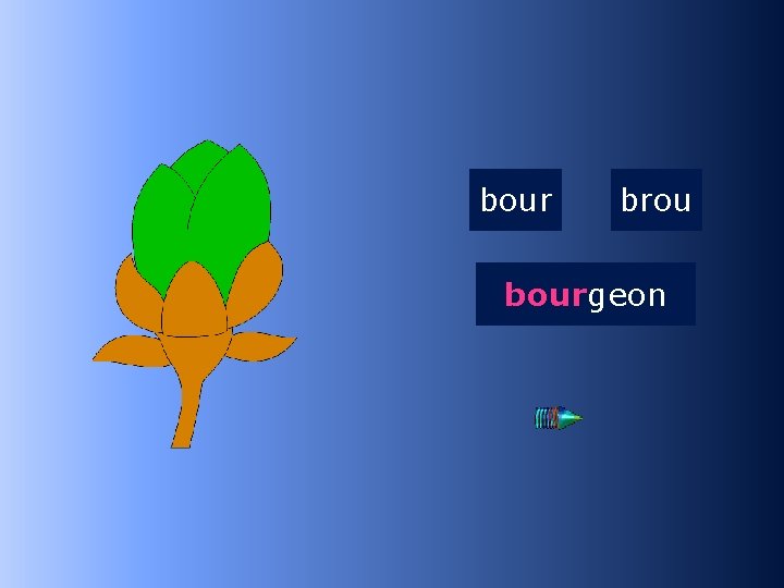 1 bour brou bourgeon …geon 