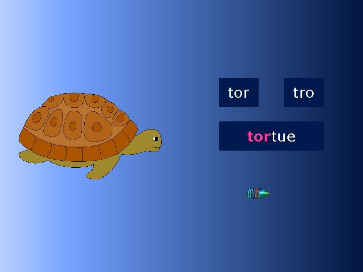 2 tor tro tortue …tue 