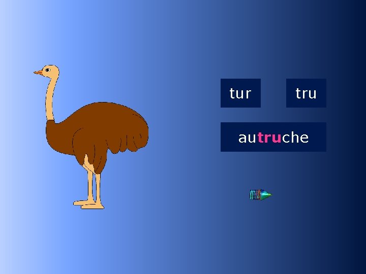 1 tru tur tru autruche au…che 