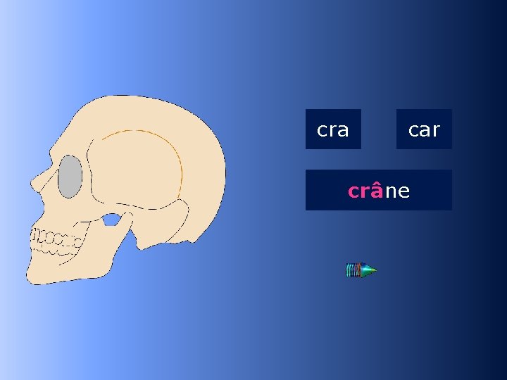 2 cra car crâne …ne 