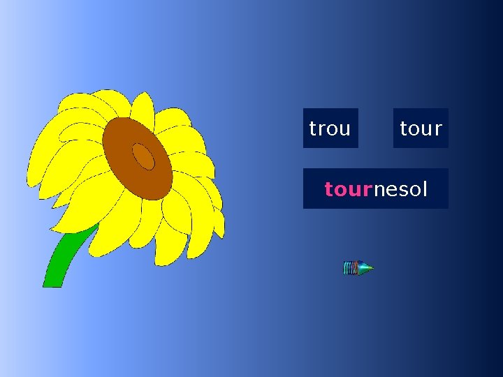 1 tour trou tournesol …nesol 