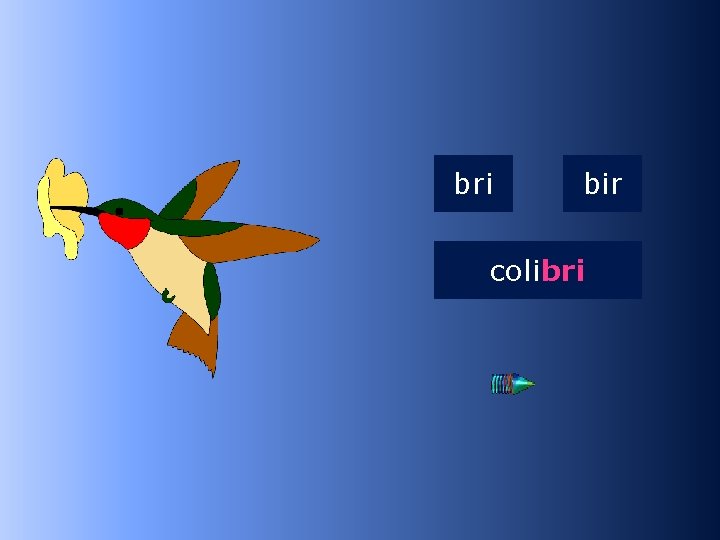 2 bri bir colibri coli… 