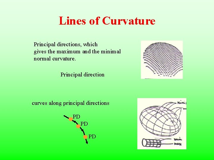 Lines of Curvature Principal directions, which gives the maximum and the minimal normal curvature.