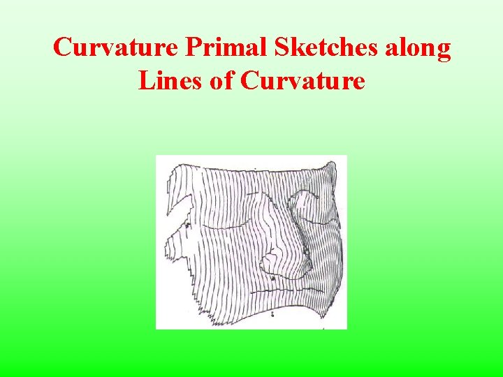 Curvature Primal Sketches along Lines of Curvature 