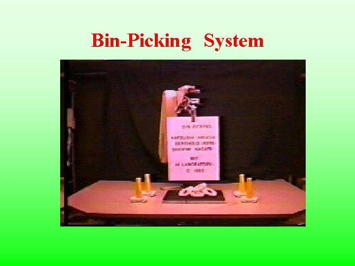 Bin-Picking System 