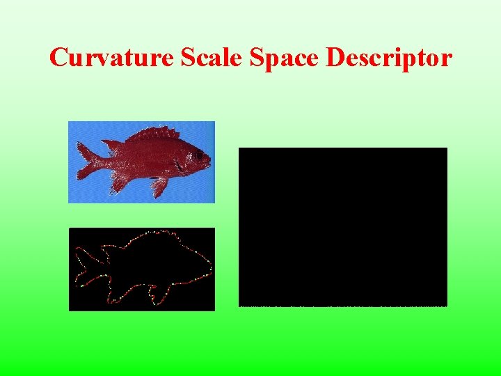 Curvature Scale Space Descriptor 