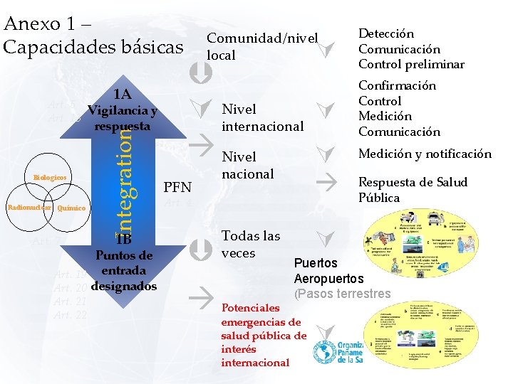 Anexo 1 – Capacidades básicas 1 A Art. 5 Vigilancia y Art. 13 Biologicos