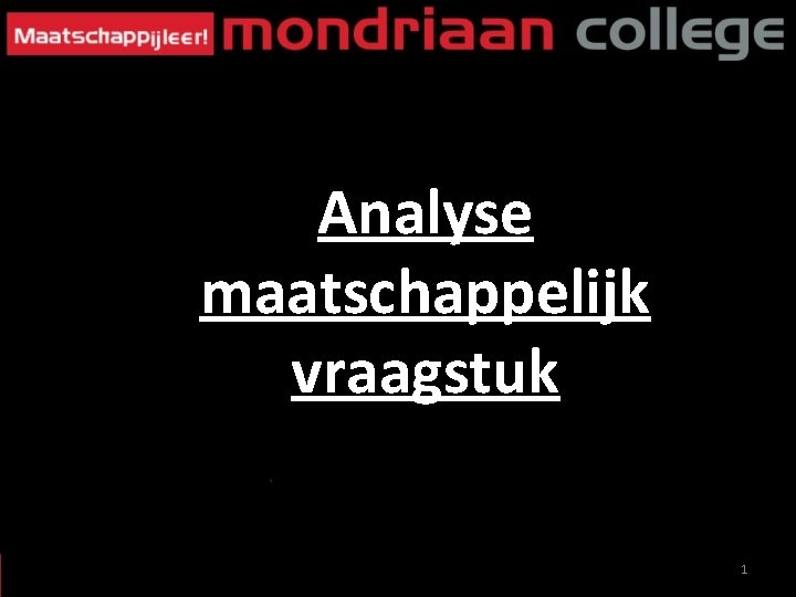 Analyse maatschappelijk vraagstuk 1 