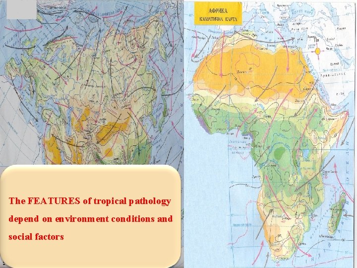 The FEATURES of tropical pathology depend on environment conditions and social factors 