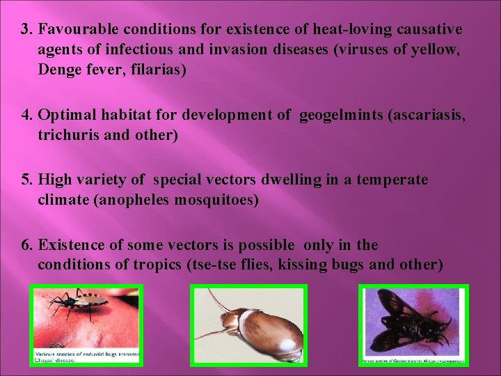3. Favourable conditions for existence of heat-loving causative agents of infectious and invasion diseases