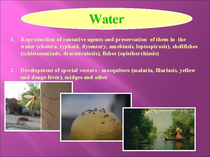 Water 1. Reproduction of causative agents and preservation of them in the water (cholera,