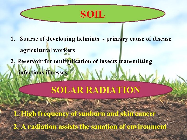 SOIL 1. Sourse of developing helmints - primary cause of disease agricultural workers 2.