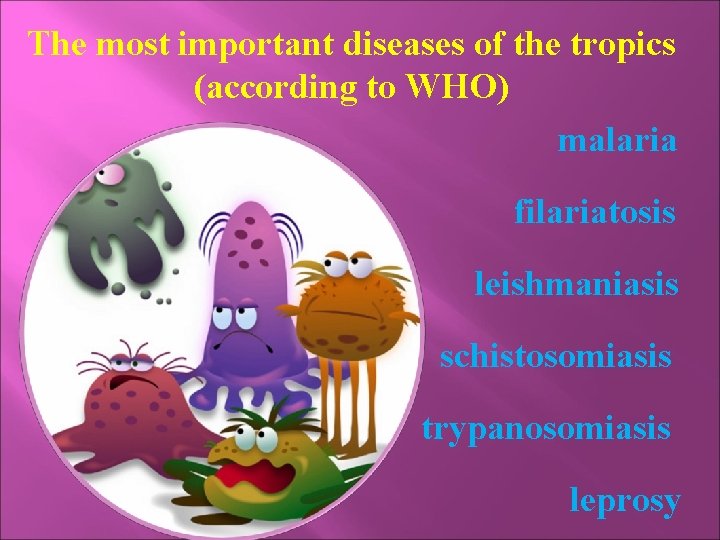 The most important diseases of the tropics (according to WHO) malaria filariatosis leishmaniasis schistosomiasis