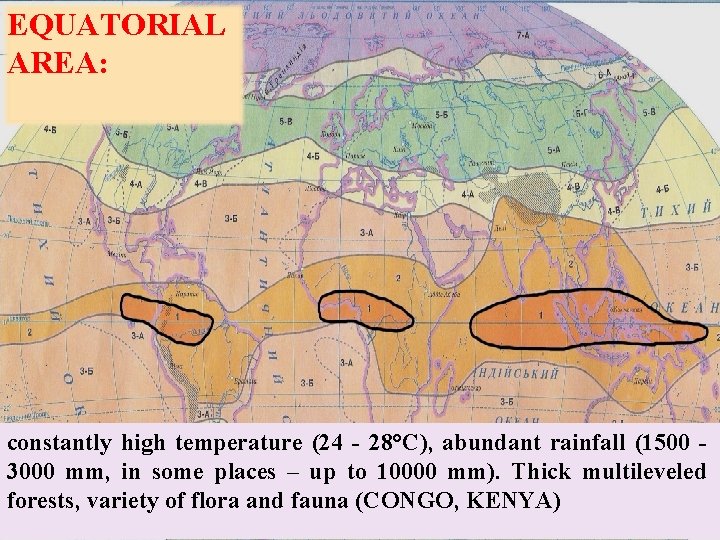 EQUATORIAL AREA: constantly high temperature (24 - 28°С), abundant rainfall (1500 3000 mm, in