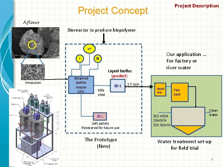 Project Description Project Concept A. flavus Bioreactor to produce biopolymer p. H innoculum Our