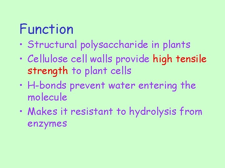 Function • Structural polysaccharide in plants • Cellulose cell walls provide high tensile strength