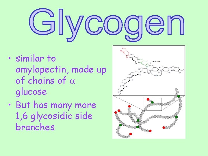  • similar to amylopectin, made up of chains of a glucose • But