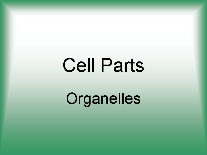 Cell Parts Organelles 