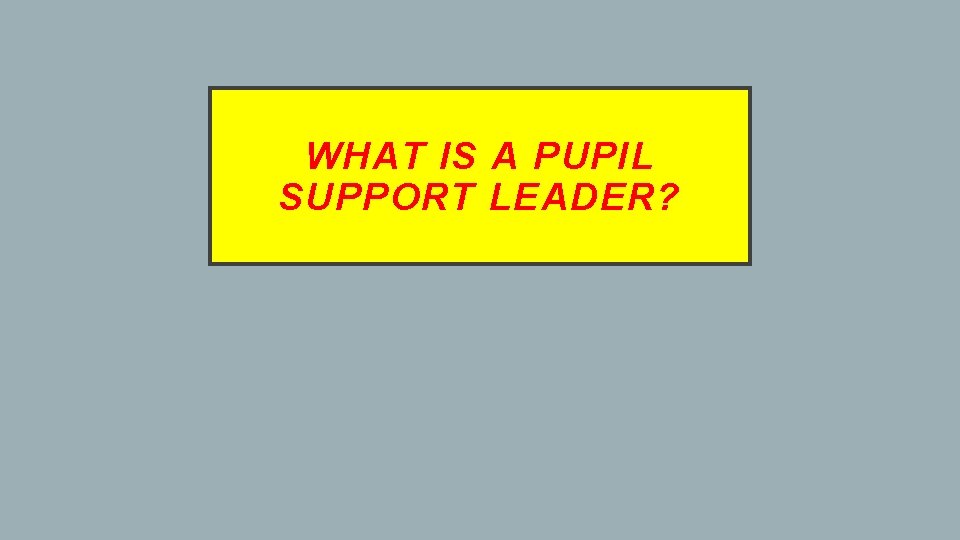 WHAT IS A PUPIL SUPPORT LEADER? 