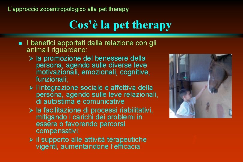 L’approccio zooantropologico alla pet therapy Cos’è la pet therapy l I benefici apportati dalla