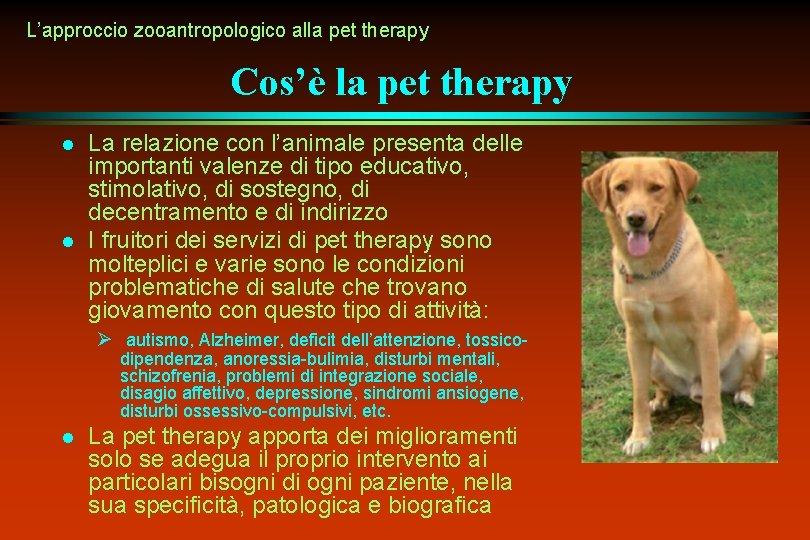L’approccio zooantropologico alla pet therapy Cos’è la pet therapy l l La relazione con L’approccio zooantropologico alla pet therapy Cos’è la pet therapy l l La relazione con