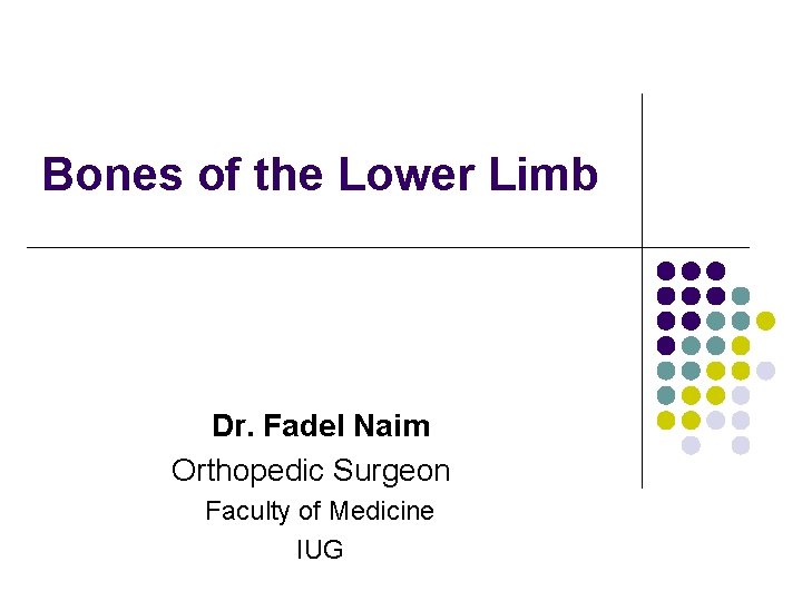 Bones of the Lower Limb Dr. Fadel Naim Orthopedic Surgeon Faculty of Medicine IUG
