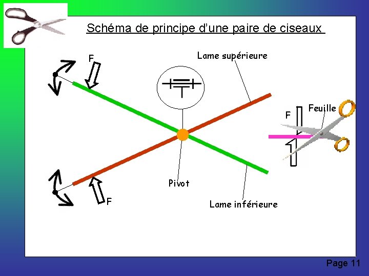 Schéma de principe d’une paire de ciseaux Lame supérieure F F Feuille Pivot F