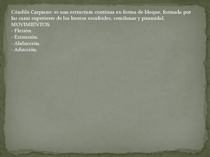 Cóndilo Carpiano: es una estructura contínua en forma de bloque, formada por las caras