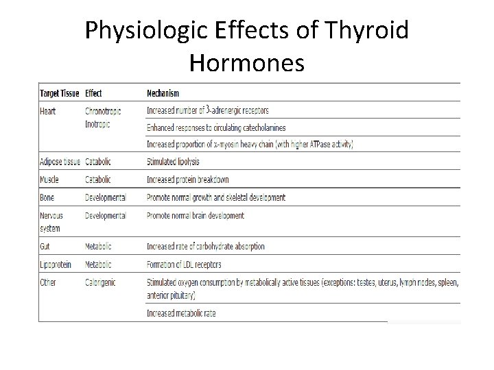 Physiologic Effects of Thyroid Hormones 