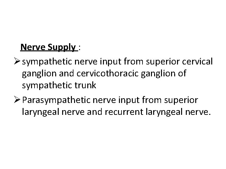 Nerve Supply : Ø sympathetic nerve input from superior cervical ganglion and cervicothoracic ganglion